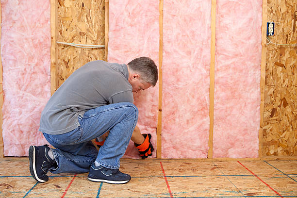 Best Professional Insulation Contractor  in Banner Elk, NC